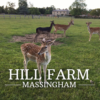 Hill Farm Massingham